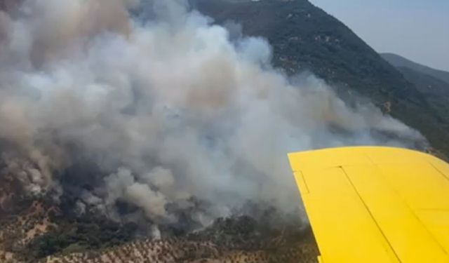 Germencik’teki yangın ormanlık alana sıçradı