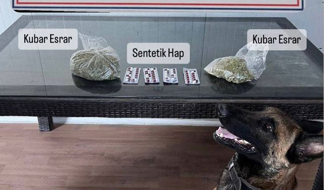 Söke’de yolcu otobüsünde uyuşturucu bulundu