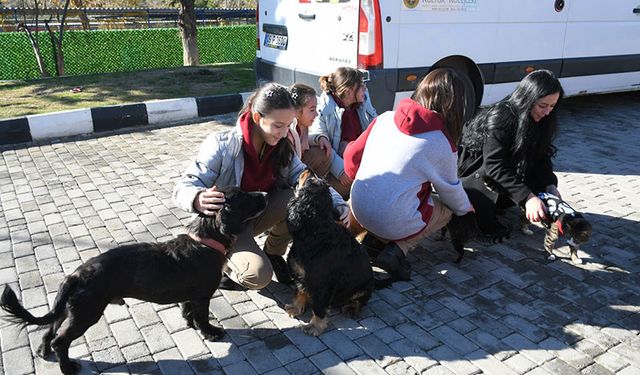 Öğrencilerden can dostlara ziyaret