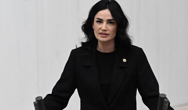 Sarıbaş: Tek adaylı seçim kurgulayıp milleti kandırmaya çalışıyorlar