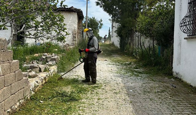 Didim’de çevre düzenlemesi devam ediyor