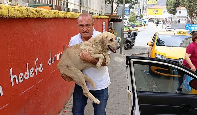 Aydın'da hayvansever taksiciden örnek davranış