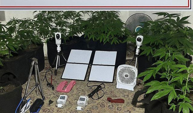 Bozdoğan’da ‘yok artık’ dedirten olay