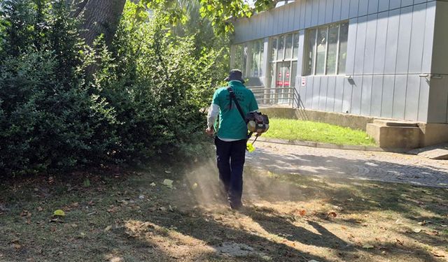 Efeler’in nefes alanı temizleniyor