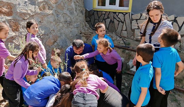 Nazilli'de öğrenciler zeytin fidanlarını toprakla buluşturdu