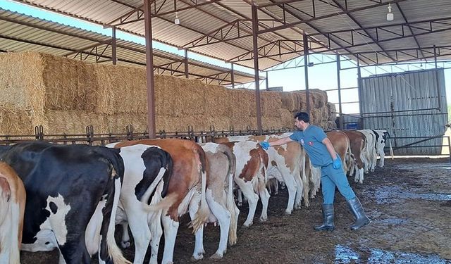 Nazilli'de 13 mahalle karantinaya alındı