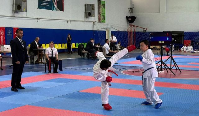 Aydın'da  genç sporcular hünerlerini sergiledi