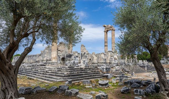 Dünya Zeytin Ağacı Günü’nde Didim Belediyesi’nden anlamlı mesaj