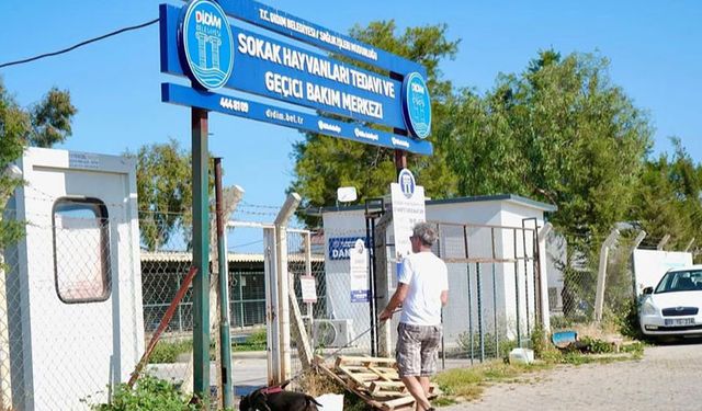 Didim Belediyesi’nden ‘sokak hayvanları’ iddiasına yanıt
