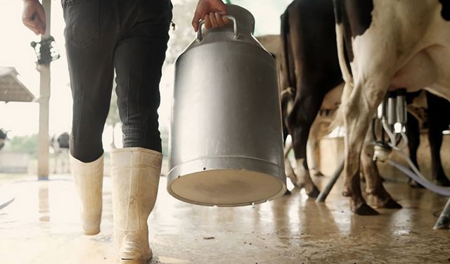 Aydın'da 9 bin üreticiye toplam 66 milyon TL ödeme yapılacak