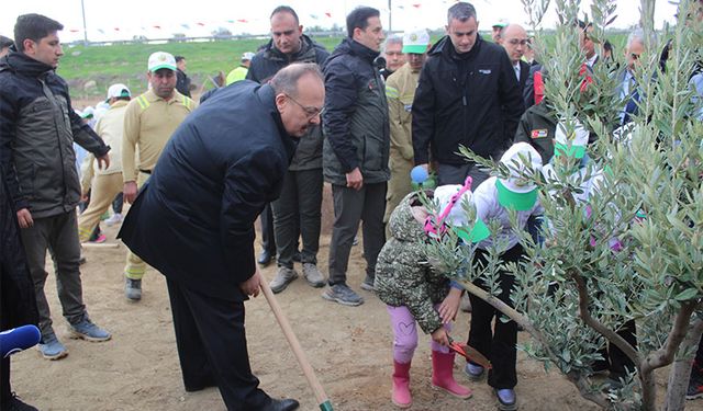 Aydın’da 7 bin fidan toprakla buluştu