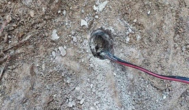 Koçarlı’da zeytinlik alanda kaçak kazı