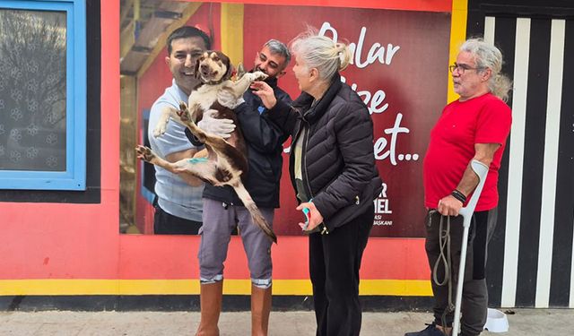 ‘Lady’ sıcak yuvasına kavuştu