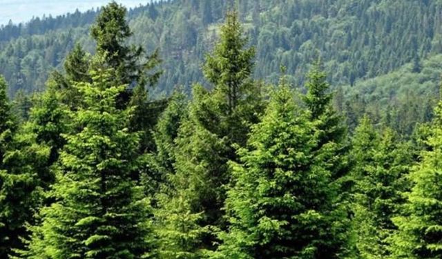 15 mahallenin sakinleri bir araya gelecek