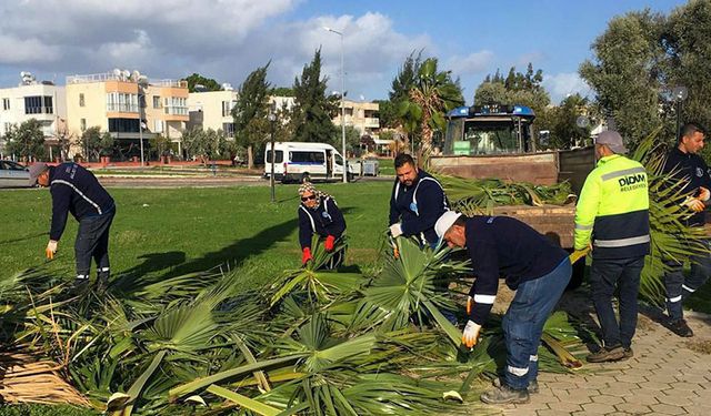 Didim Belediyesi ekiplerinden yoğun mesai