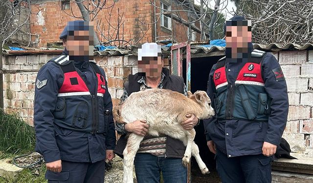 Evden çalıntı buzağı ve ruhsatsız tabancalar çıktı