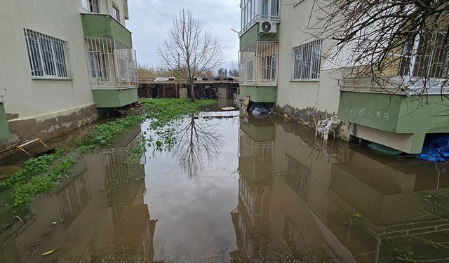 Nazilli'de mahalle sular altında kaldı