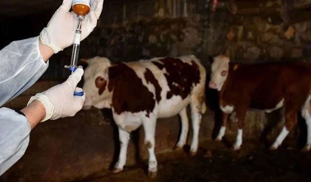 Aydın’ın bir ilçesinde daha karantina kaldırıldı