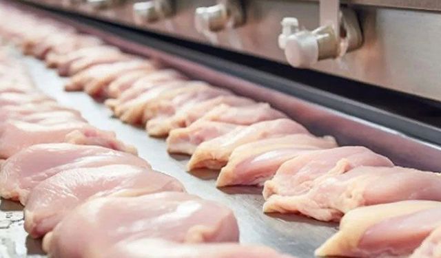 Tavuk ihracatı resmen durduruldu