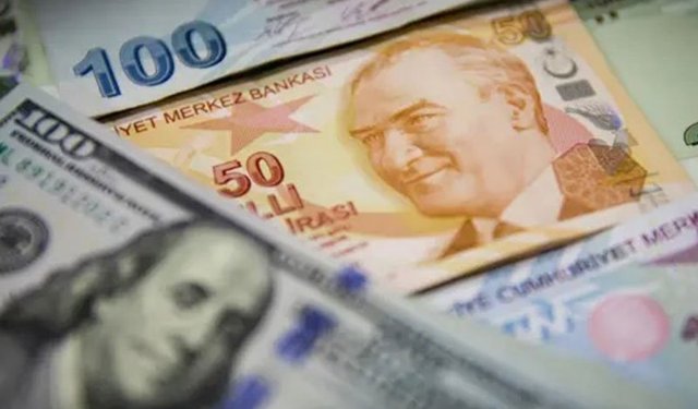 Dolar, TL karşısında tarihi zirveye ulaştı