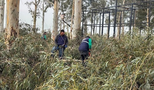 Tepecik Mesire Alanı yenileniyor