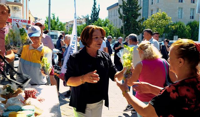 Didim Belediyesi’nden ücretsiz fide dağıtımı