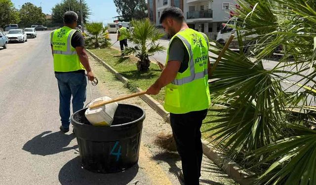 Büyükşehir'den Çeştepe'de park ve yeşil alanlara bakım