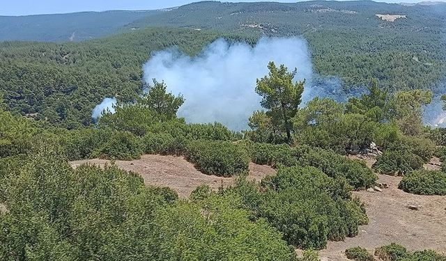 Çine’de orman yangını