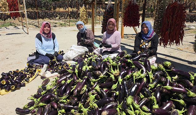 Nazilli’nin kurutmalık ürünleri dünyayı dolaşıyor