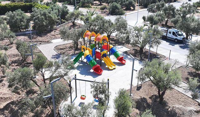 Didim’de Zeytin Park Projesi’nde sona gelindi