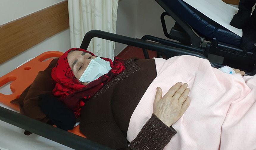 Aydın'da korkunç olay: Yaşlı kadın hastanelik oldu