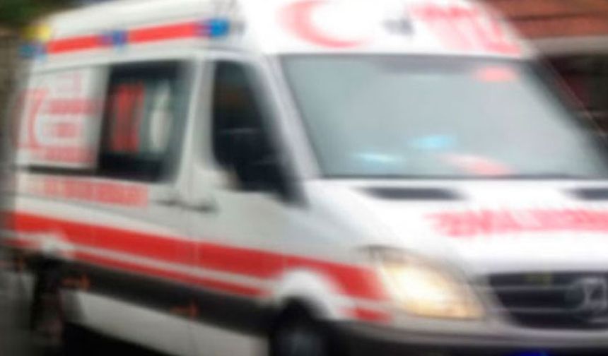 Aydın’da kamyonetin çarptığı kadın hayatını kaybetti
