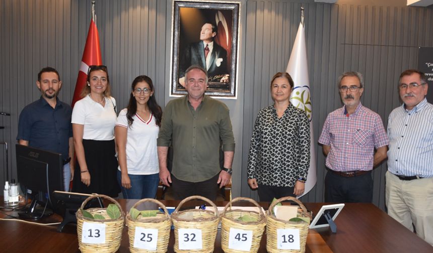 Germencik’te en iyi incir yetiştiricisi seçildi