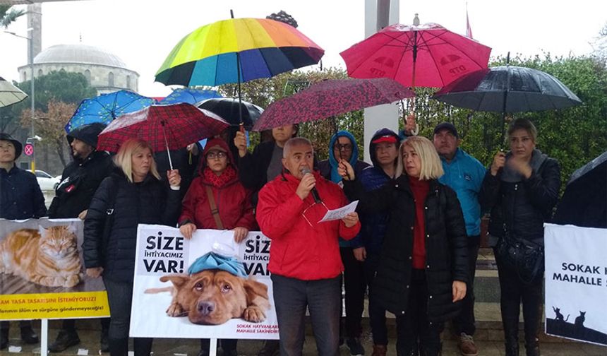 “Sokak hayvanları sahipsiz değil”