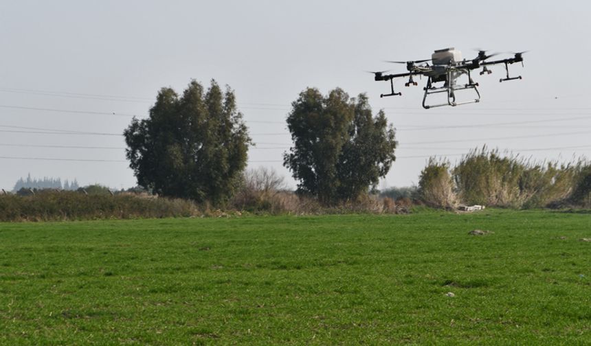 Söke Belediyesi’nin buğday arazisi dronla gübrelendi