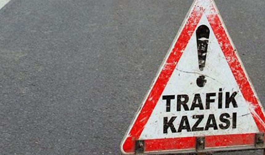 Aydın'da devrilen motosikletteki 2 kişi yaralandı