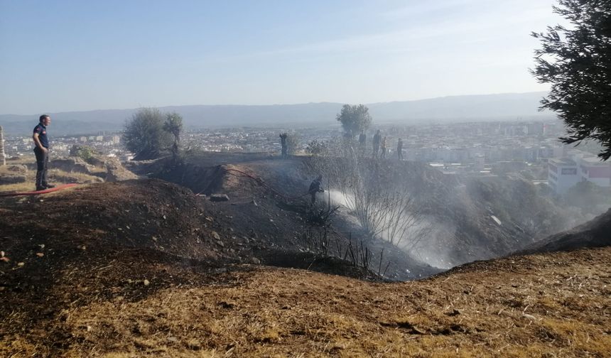 Efeler'de Tralleis Antik Kenti yakınlarında yangın çıktı
