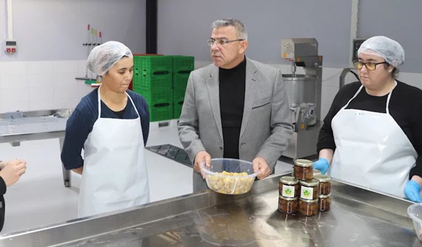Başkan Güler’in marka projesi kestane şekeri üretimine başladı