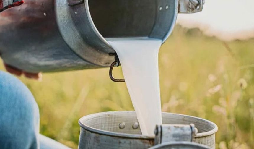 USK açıkladı: çiğ süt fiyatına zam