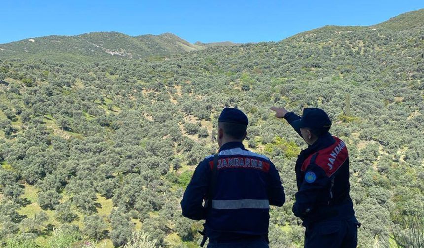 Aydın'da jandarma ekipleri orman yangınlarına karşı teyakkuzda
