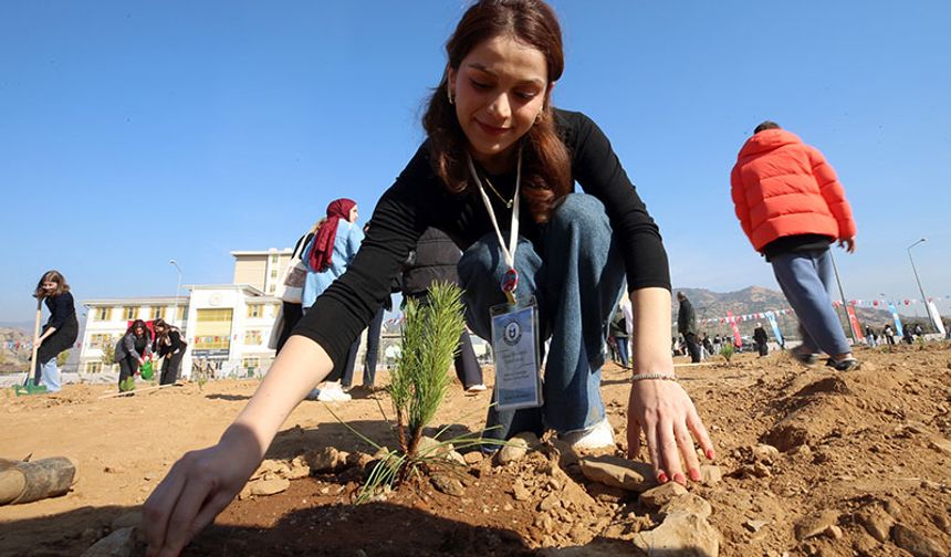 Aydın'da 9 bin  fidan toprakla buluştu