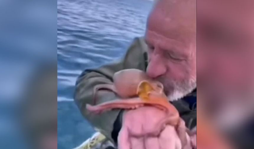 Didim’de balıkçı yakaladığı ahtapotu öperek denize bıraktı