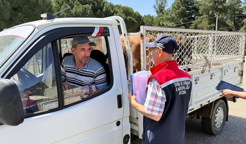 Koçarlı'da hayvan nakil araçları denetlendi