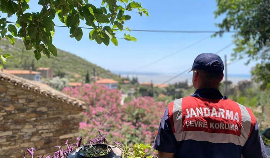 Doğanbey’de orman yangınlarına dikkat çekildi