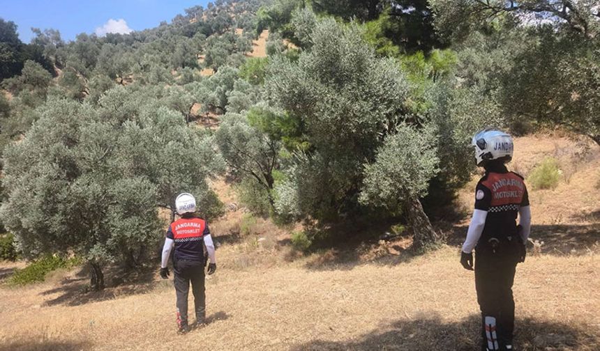 Jandarma Aydın’da yangın nöbetinde