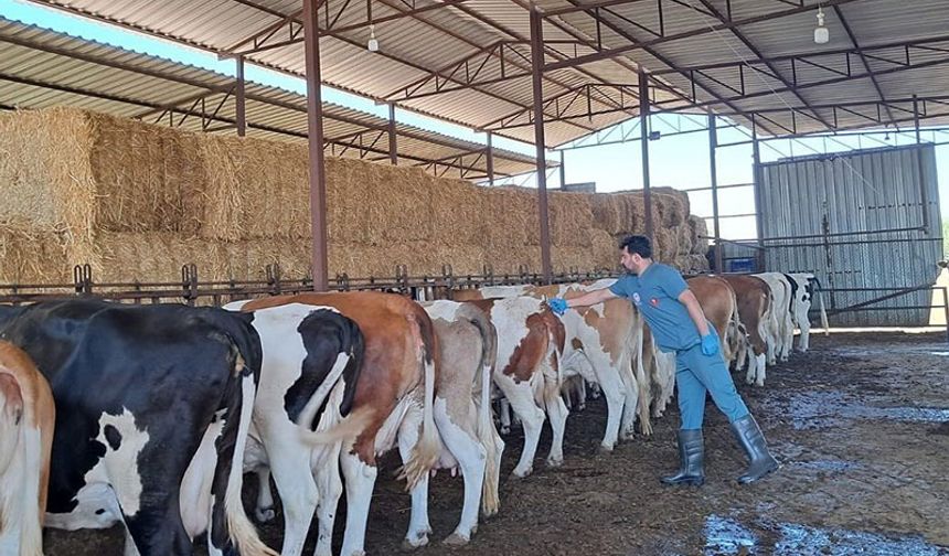 Nazilli'de 13 mahalle karantinaya alındı