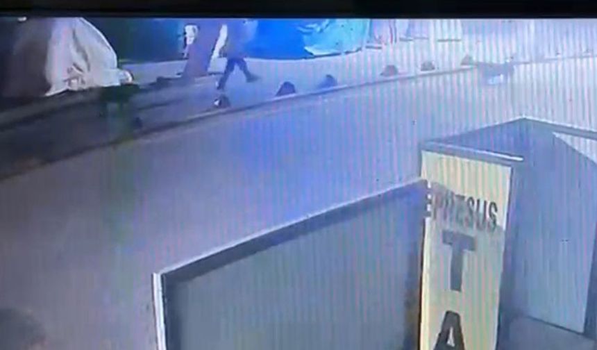 Aydın’da astsubay sokak köpeğini tabancayla vurdu