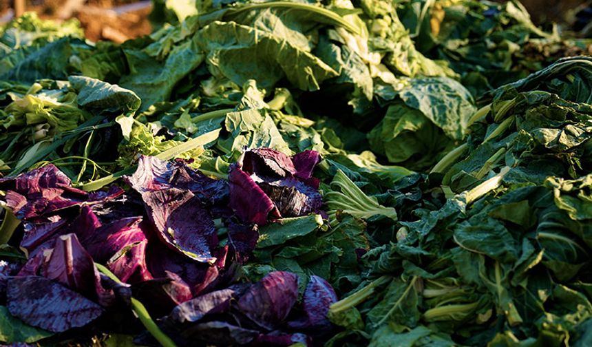 Didim’de pazar atıkları komposta dönüşüyor