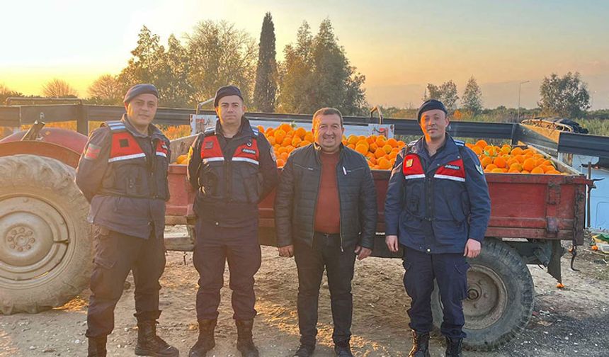 Nazilli’de 1,5 tonluk portakal hırsızlığı