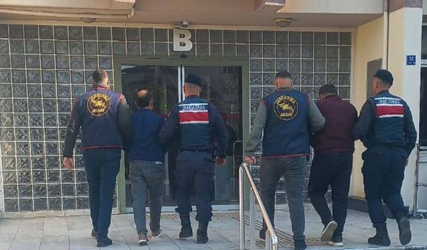 400 kilogram zeytin çalan hırsızlar yakalandı